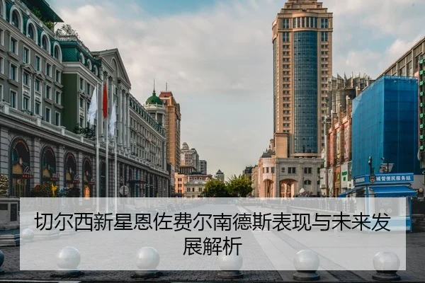 切尔西新星恩佐费尔南德斯表现与未来发展解析
